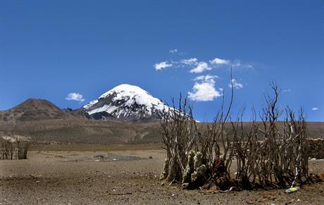 View of the Sajama mountain