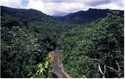 Parque Nacional Amboro