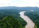 amazonia2