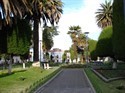 sucre1