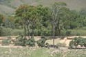 Ruinas de cultivos del fuerte