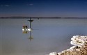 Wasser in de Salar
