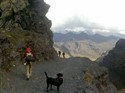 Camino del Choro