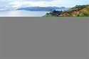 IMG_2434.1