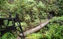 Bridge on Choro Trek