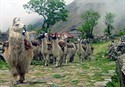 Llamas en el Choro trail