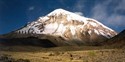 Sajama