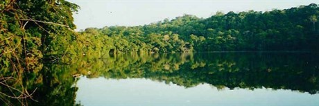 Reserva de la Biosfera Pilon Lajas