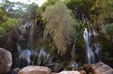 El Vergel